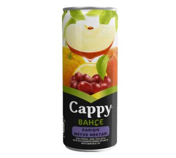 Cappy Karışık (250 ML)