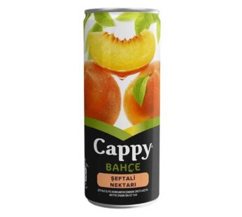 Cappy Şeftali (250 ML)